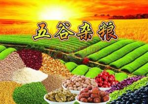 2016北京大米雜糧博覽會